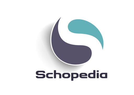 Digital Solutions Consultation